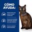 12 sobres x 85 g Hill's Prescription Diet Diabetes Care m/d Pollo Sobre en Salsa para gatos, , large indicador imagen numero 4